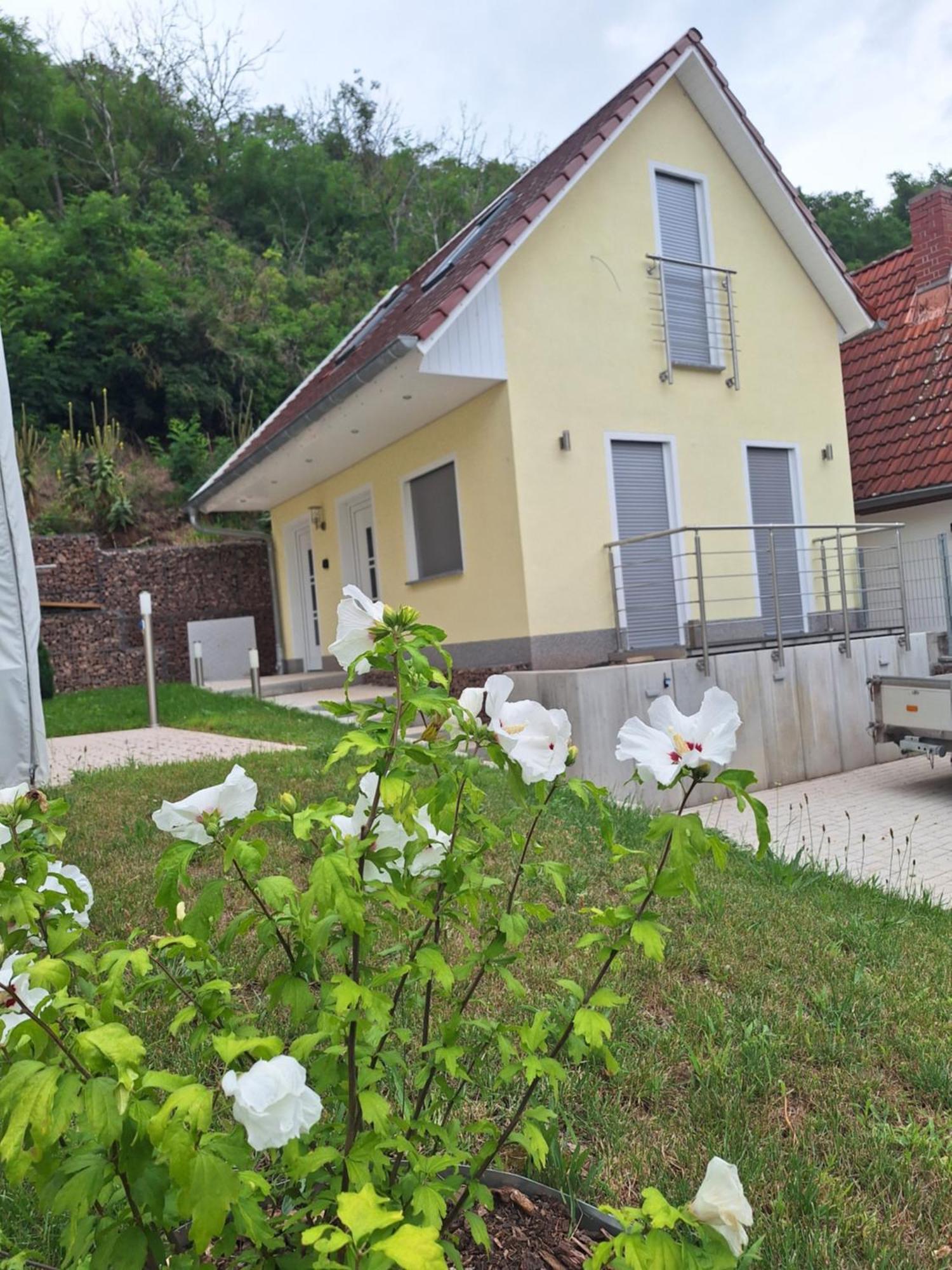 Ferienhaus Saaleblick Wettin Exterior foto